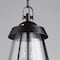 Maxim Lighting Mariner Large 2-Light Outdoor Pendant, Black/Antique Brass 30623CDBKAB - alternate 4